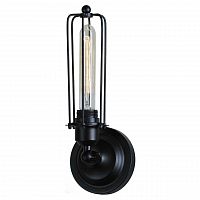 бра st luce filo sld968.401.01 в Иваново