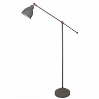 торшер arte lamp braccio a2054pn-1gy в Иваново