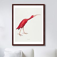 картина: scarlet ibis, 1827г. в Иваново