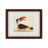 картина: white-throated toucan, 1716 в Иваново