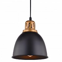 подвесной светильник arte lamp eurica a4245sp-1bk в Иваново