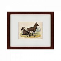 картина: two nilgais, 1830 в Иваново