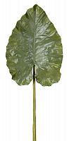 декор giant taro leaf в Иваново