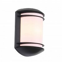 уличный настенный светильник st luce agio sl076.401.01 в Иваново