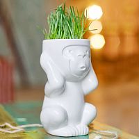 горшок для растений eco игнорик в Иваново