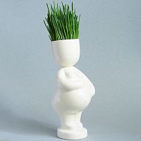 набор для выращивания eco мама в Иваново
