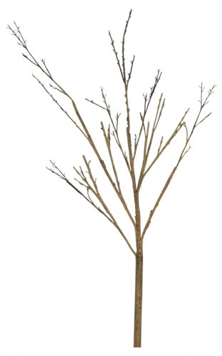декор twig stem в Иваново