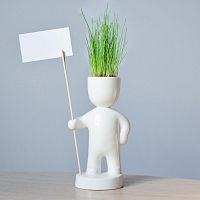 набор для выращивания eco знаменосец в Иваново