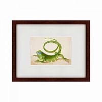 картина: green iguana, 1701 в Иваново
