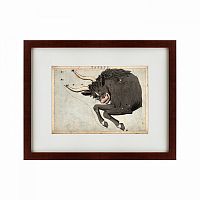 картина: signs of zodiac taurus, 1825 в Иваново