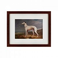 картина: portrait of a greyhound, 1744 в Иваново