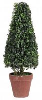 искусственное дерево в горшке topiary в Иваново