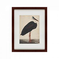 картина: black stork in a landscape, индия, 1780 в Иваново