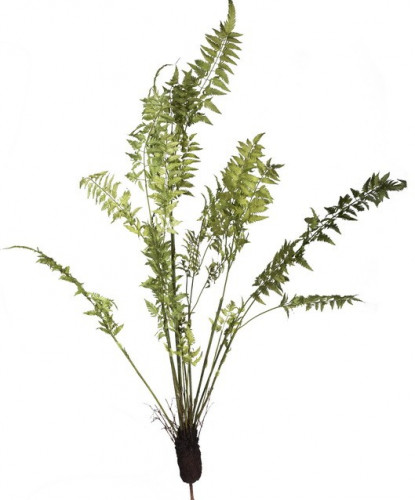 декор fern plant в Иваново