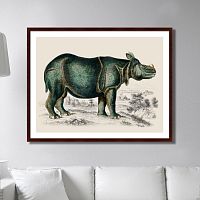 картина: rhinoceros, 1774г. в Иваново