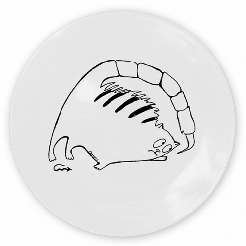 кот-скорпион в Иваново