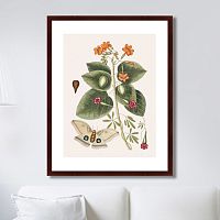 картина: beauty bloom №4, 1732г. в Иваново