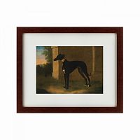 картина: portrait of a greyhound called pompon, 1746 в Иваново
