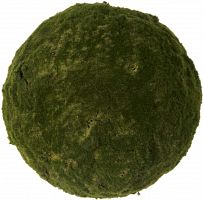 декор moss sun в Иваново