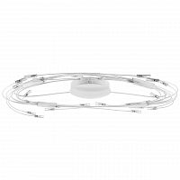 потолочный светильник lightstar ovale 784246 в Иваново