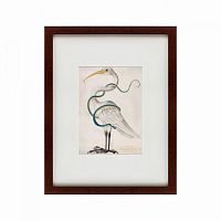 картина: heron encircled by a snake, 1700 в Иваново