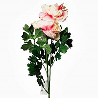 пион розовый 62 см (12) в Иваново