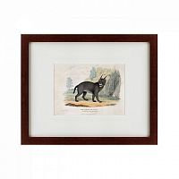 картина: a caracal or lynx, 1830 в Иваново