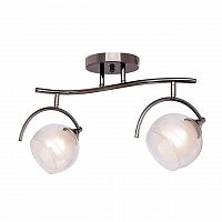 потолочная люстра silver light sfera 255.59.2 в Иваново