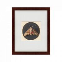 картина: owlet moth, 1700 в Иваново